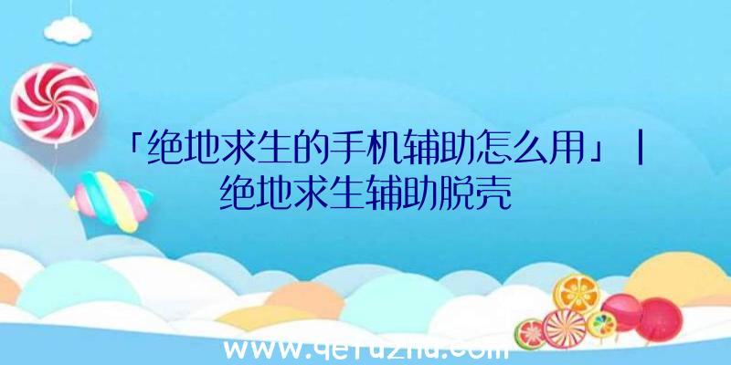 「绝地求生的手机辅助怎么用」|绝地求生辅助脱壳